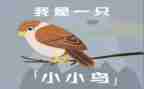 音乐活动小鸟小鸟教案5篇