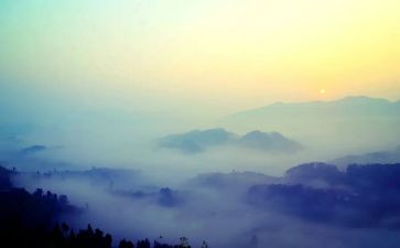 小学生雾霾作文8篇