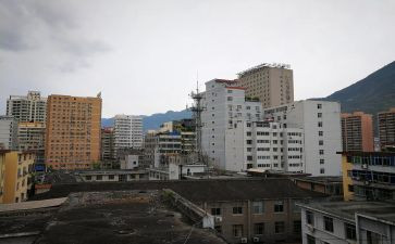 武都区小学线上教学总结5篇