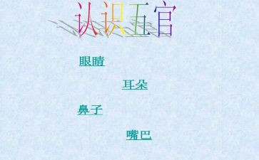 点五官教案6篇