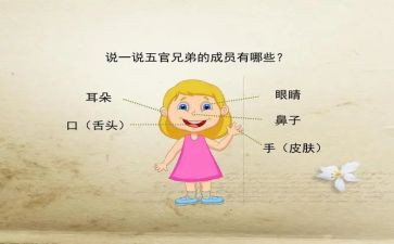点五官教案优质7篇