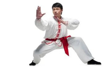 武术队年度总结7篇
