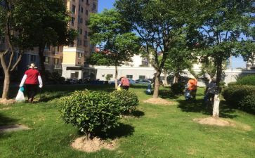 物业小区述职报告精选6篇