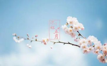 幼儿园五月工作计划7篇