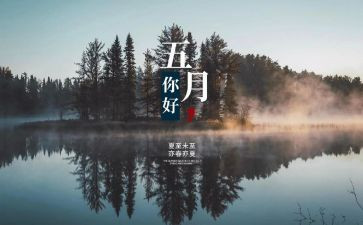 五月教师月总结5篇