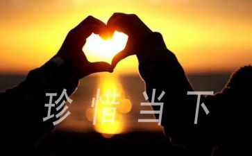 珍惜水的心得体会最新7篇