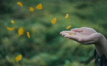 给珍惜的作文参考8篇