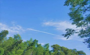 夏天里作文模板7篇