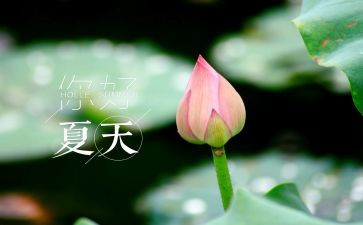 初夏的作文8篇