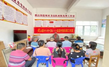 2024年发挥党员先锋模范作用工作总结8篇