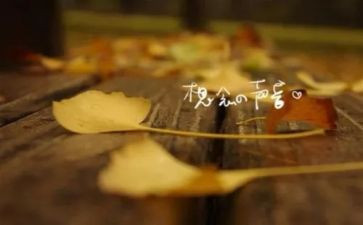 我想念的人作文参考6篇