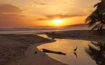 骆驼祥子读后感的作文400字5篇