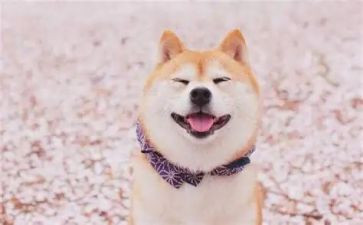 微笑300字作文5篇