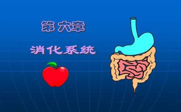 实习消化内科心得体会8篇