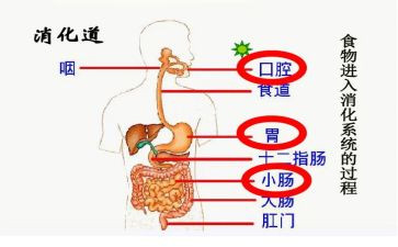 消化内科心得体会6篇