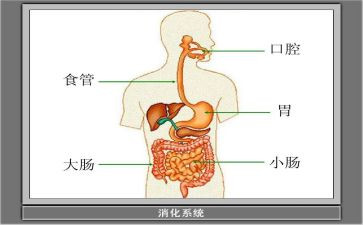 消化内科2024年工作总结6篇