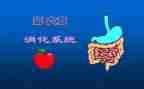 实习消化内科心得体会8篇