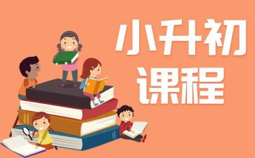 小升初作文模板6篇