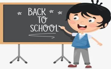 个人总结小学教师个人总结5篇