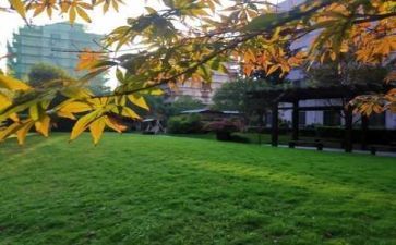 校园文化活动的总结5篇