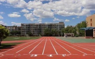 学校园安全心得体会模板6篇
