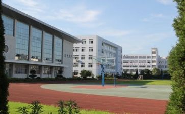 校园环保心得7篇