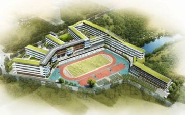校园教师心得体会6篇