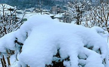 下雪天幼儿园教案5篇