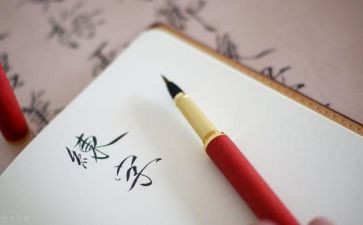 小学生写事迹材料8篇
