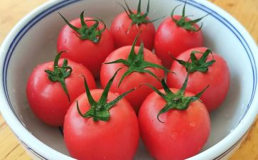 西红柿作文500字6篇