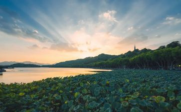 西湖游作文600字参考7篇