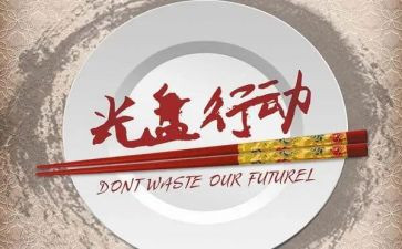 整治行动工作总结8篇