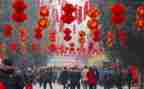 幼儿园新年教师总结5篇