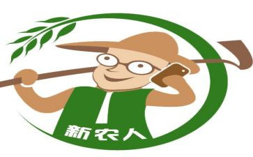关于新农村建设调查报告6篇