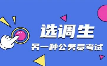 镇选调生工作总结7篇
