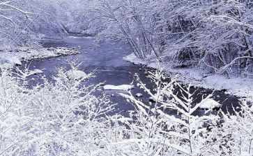 节气大雪教案7篇