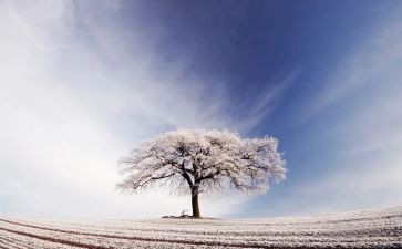 雪雷锋心得体会8篇
