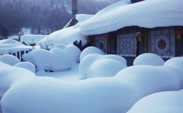 雪雷锋心得体会通用8篇