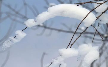 雪的作文700字模板5篇