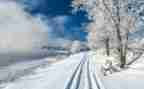 关于雪的大班教案通用7篇