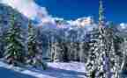 关于滑雪的作文7篇