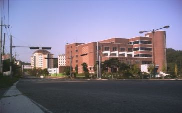 大学部门年度工作总结5篇