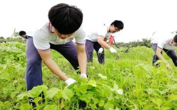 学农民画心得体会6篇