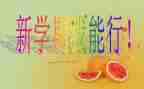 教师本学期的个人总结优质6篇