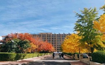 学校年终工作总结优秀6篇
