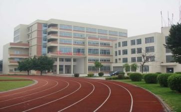 我的学校的作文作文模板5篇