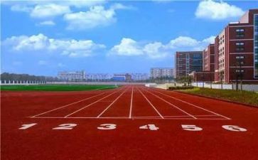 2023年学校师德工作总结7篇