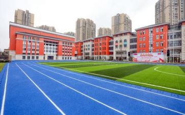 学校的活动总结最新8篇