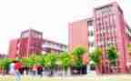学校老教师培训总结范文8篇
