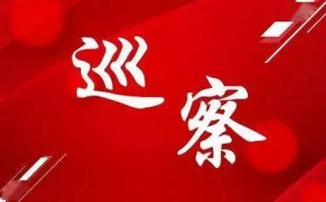 巡察全面从严治党工作总结5篇